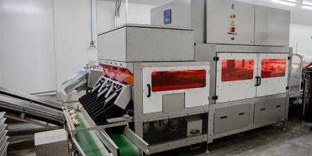 Primera sexadora automática con inteligencia artificial en Colombia y Latinoamérica