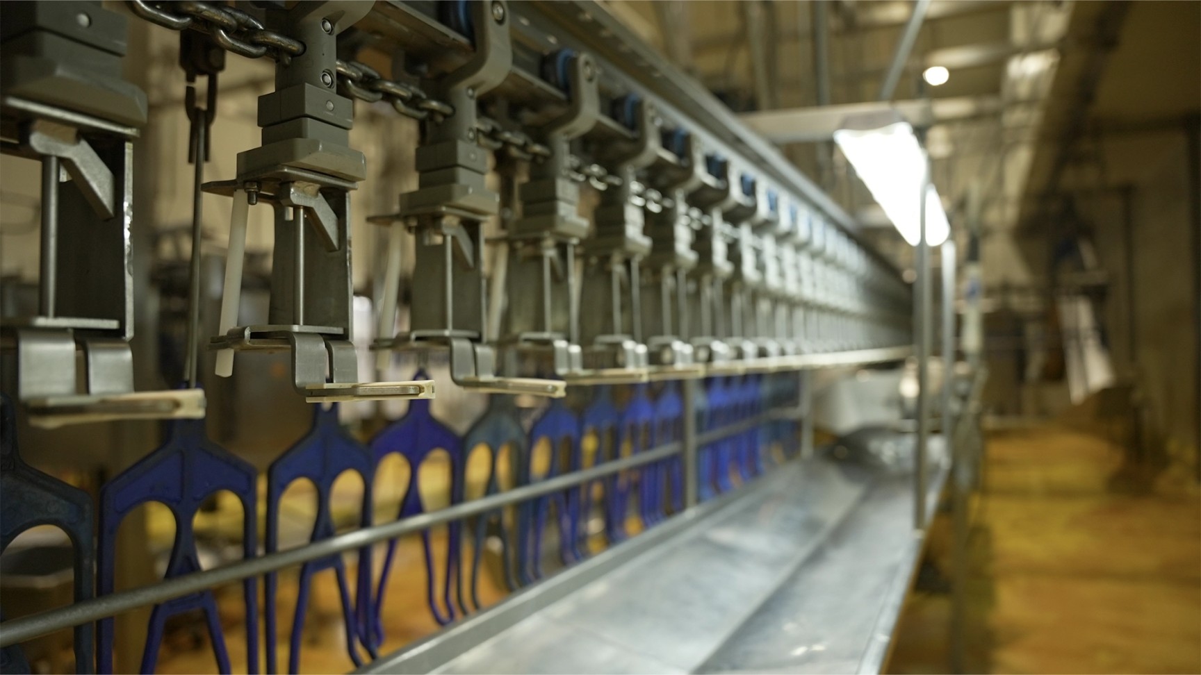 ¡Así de grande es Don Pollo!