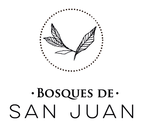 nombre del proyecto