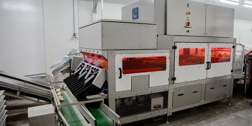 Primera sexadora automática con inteligencia artificial en Colombia y Latinoamérica