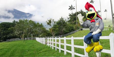 Edición Octubre 2024