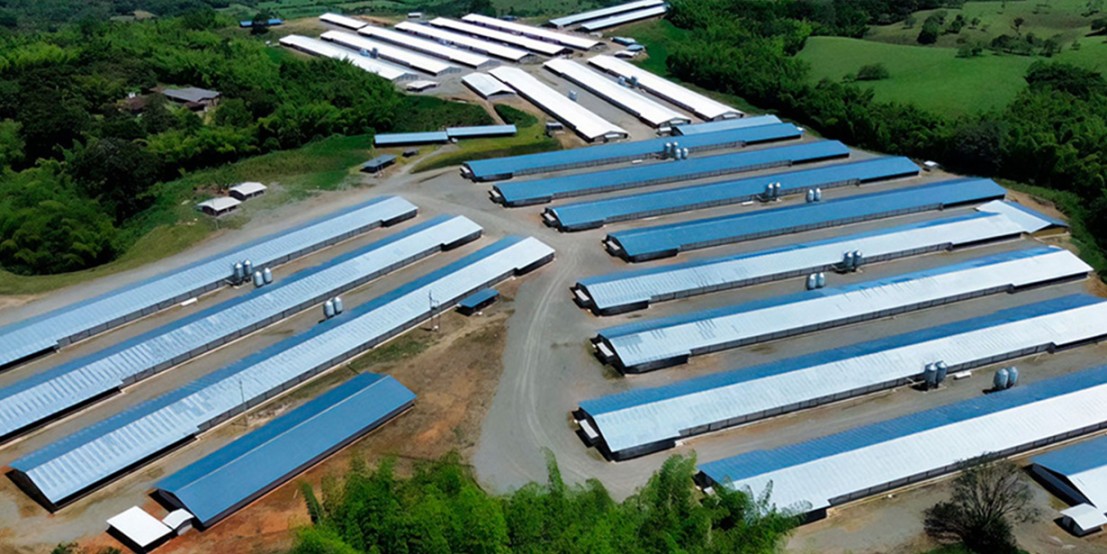 Revista Diciembre 2025